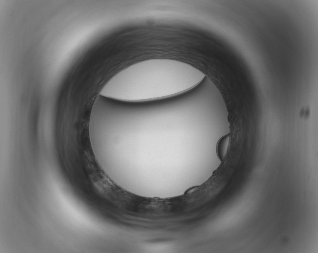 X0000110770383200906151000