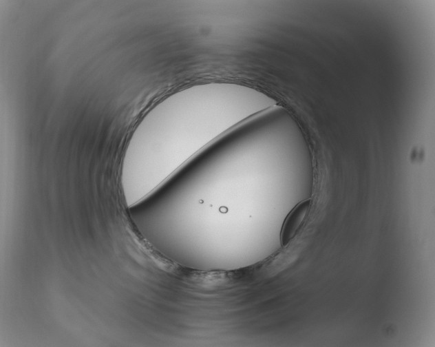 X0000110770384200906151000