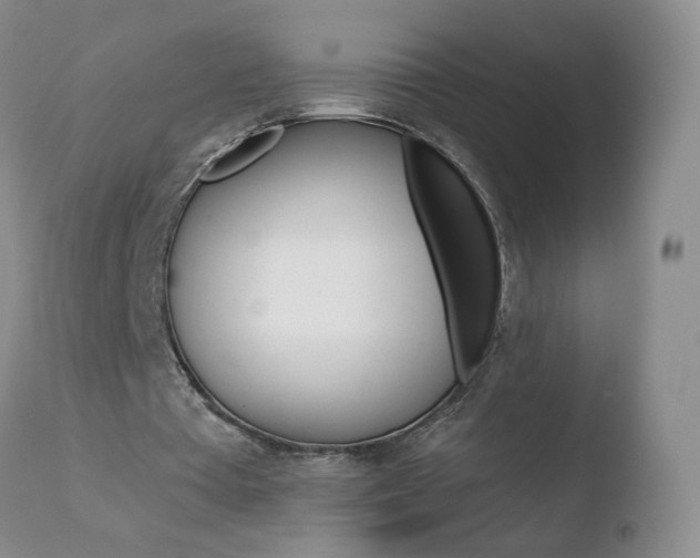 X0000110770385200906150959