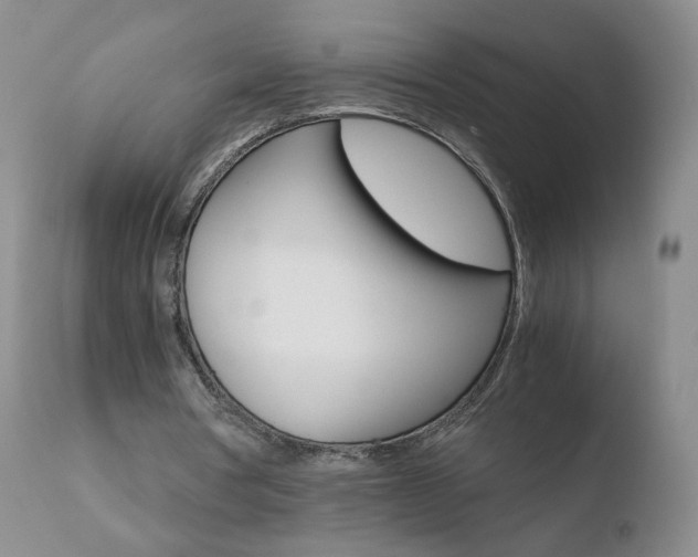 X0000110770386200906150959