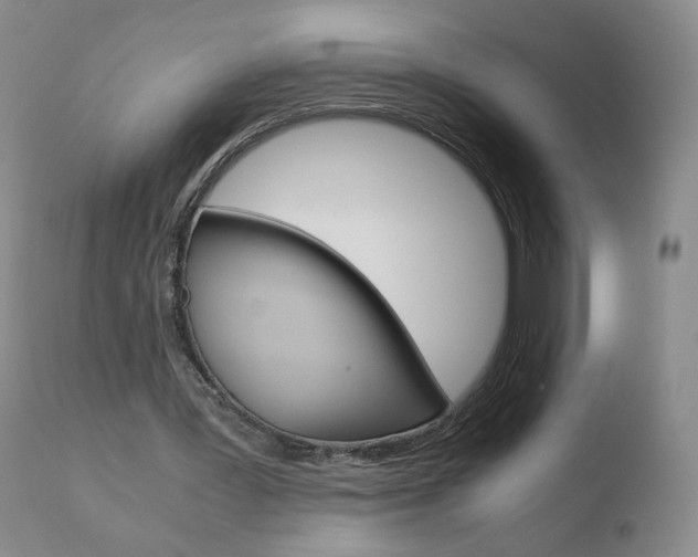 X0000110770387200906150959