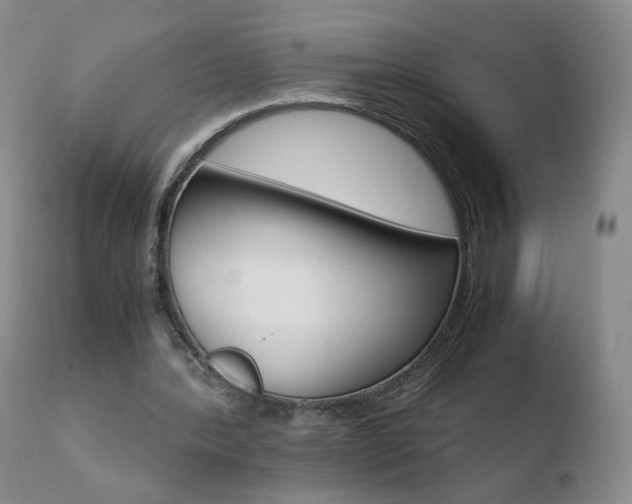X0000110770388200906150959
