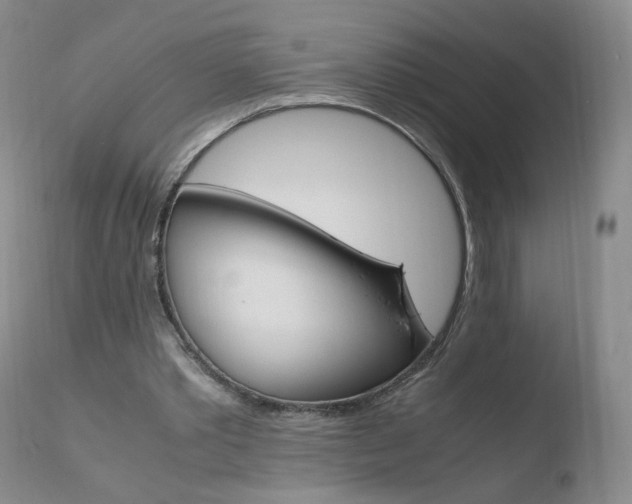 X0000110770389200906150959
