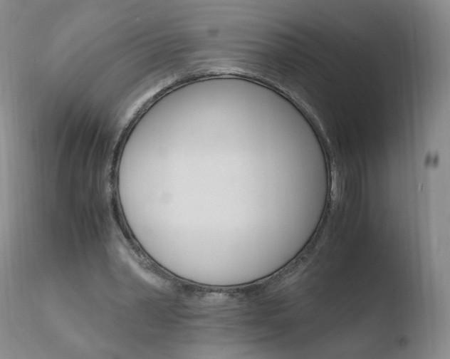 X0000110770390200906150959