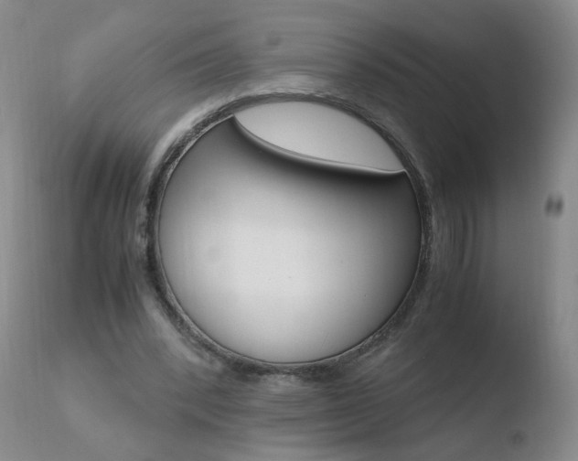 X0000110770392200906150959