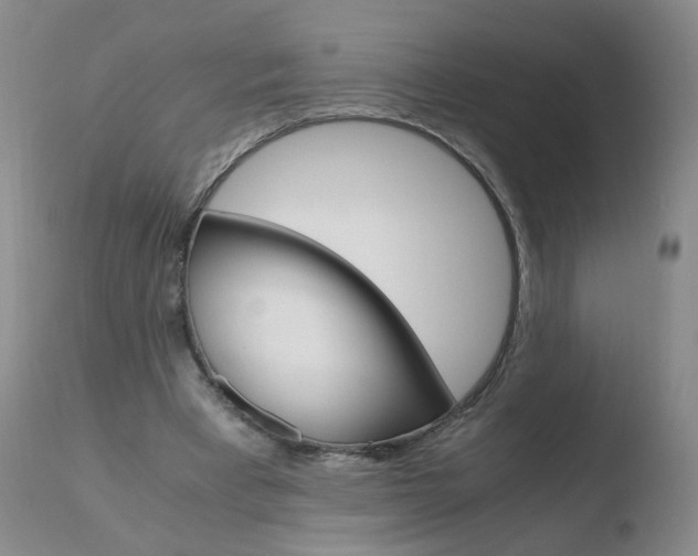 X0000110770393200906150959
