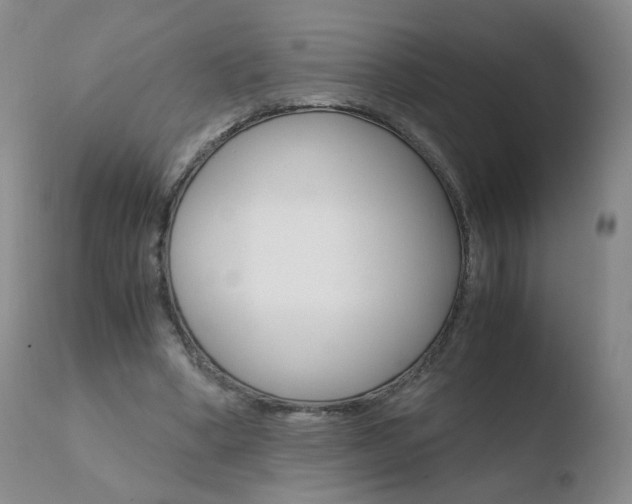 X0000110770394200906150959