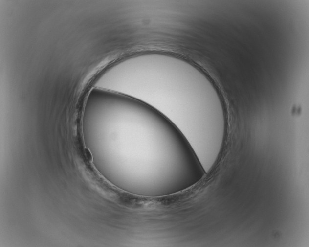 X0000110770395200906150959