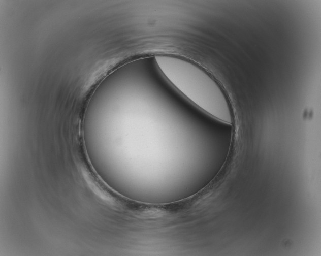 X0000110770397200906150959