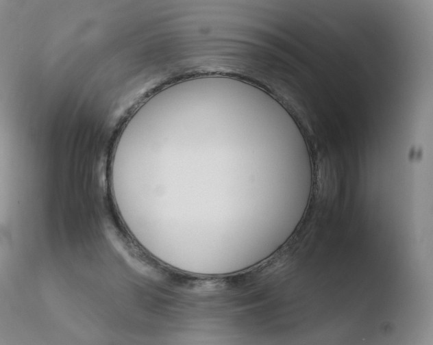 X0000110770398200906150959