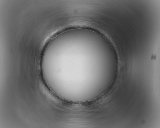 X0000110770399200906150959