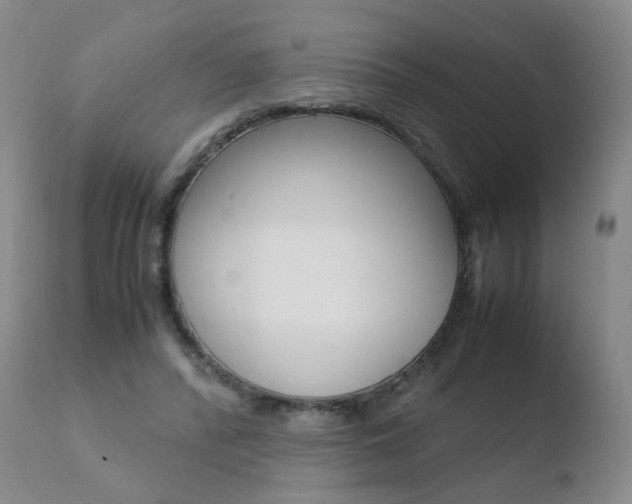X0000110770400200906150959