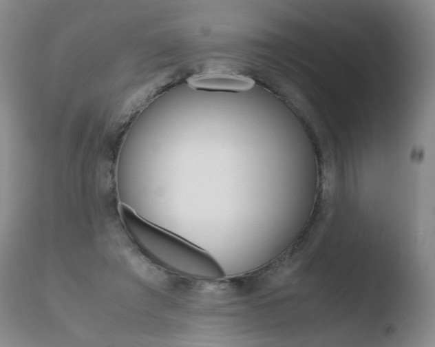 X0000110770401200906150959