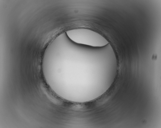 X0000110770402200906150959