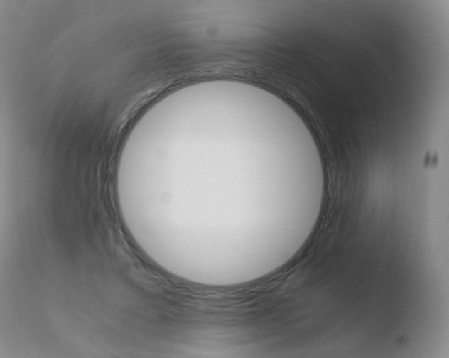 X0000110770403200906150959