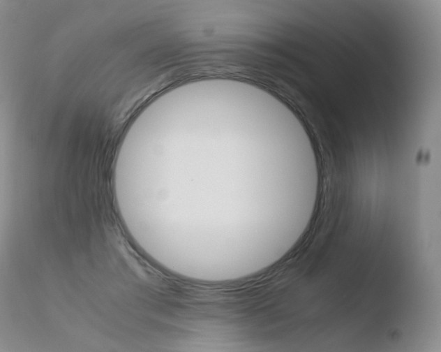 X0000110770405200906150959