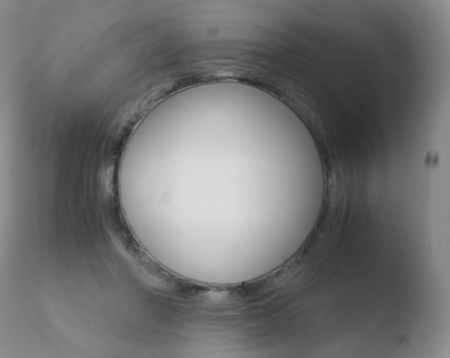 X0000110770406200906150959
