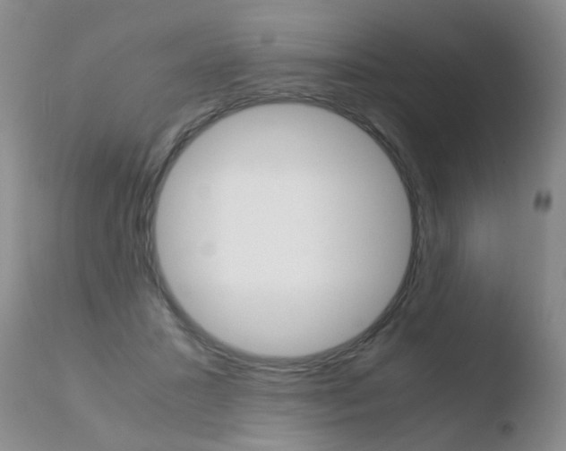 X0000110770407200906150959