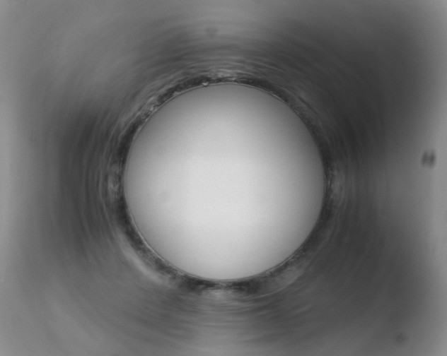 X0000110770408200906150959