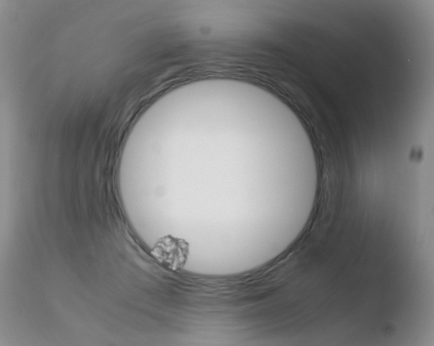X0000110770409200906150959