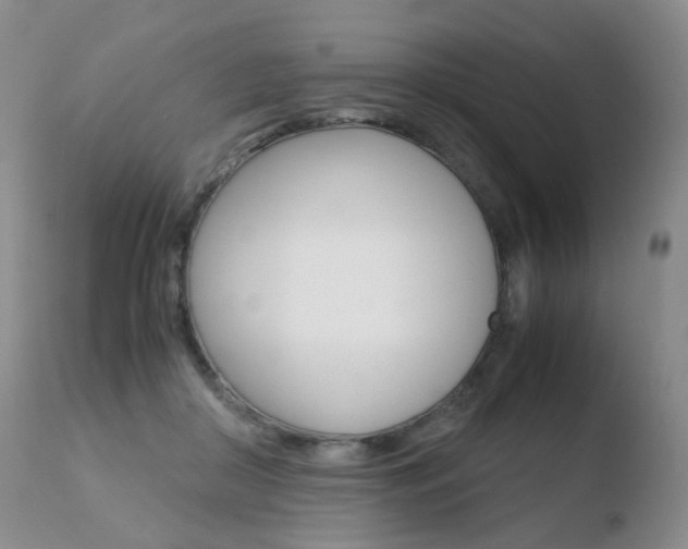 X0000110770410200906150959