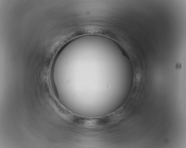 X0000110770411200906150959