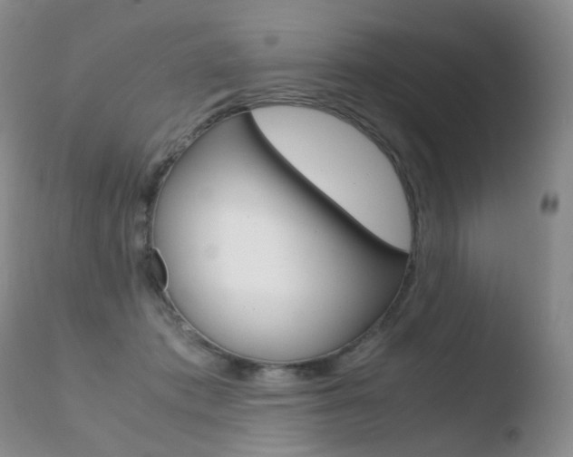 X0000110770413200906150959