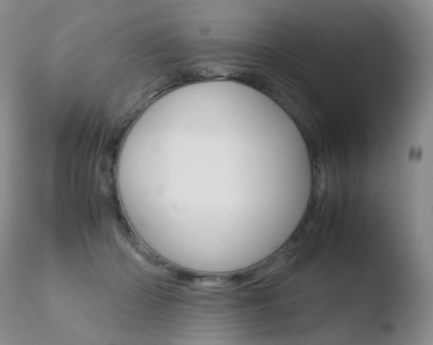 X0000110770414200906150959