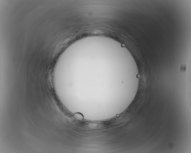 X0000110770415200906150959