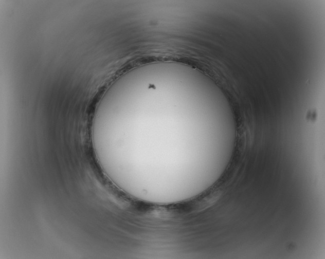 X0000110770416200906150959