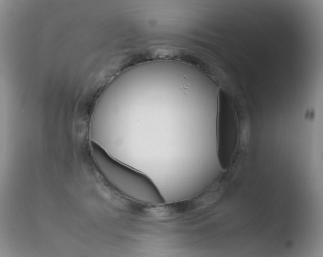 X0000110770417200906150959