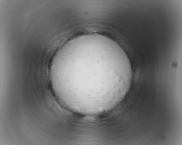 X0000110770418200906150959