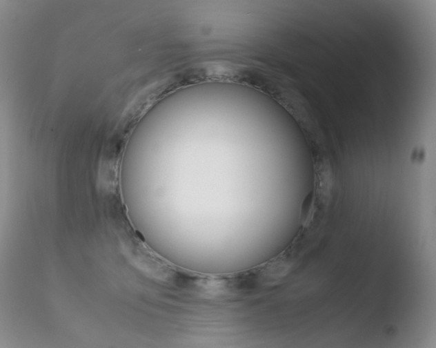 X0000110770419200906150959
