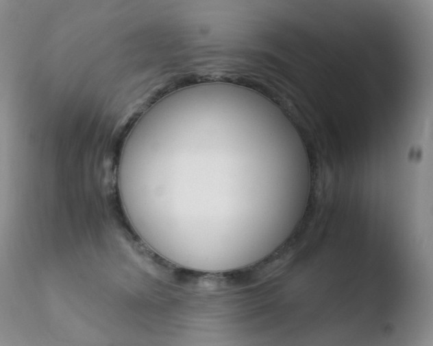 X0000110770420200906150959
