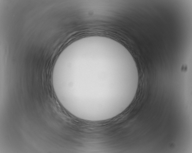 X0000110770421200906150959