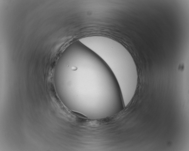 X0000110770423200906150959