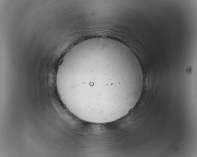 X0000110770424200906150959