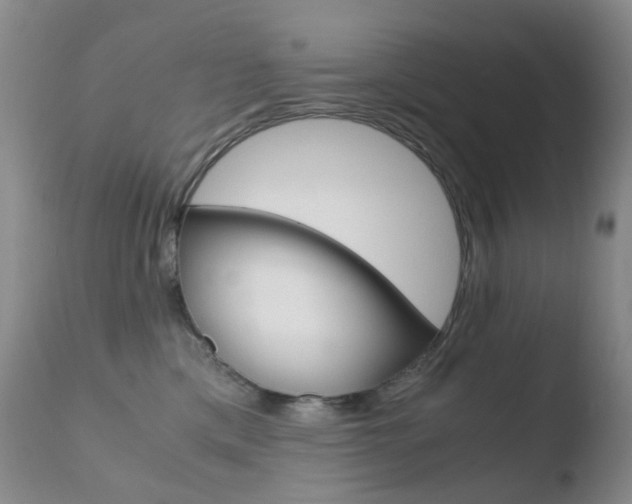 X0000110770425200906150959