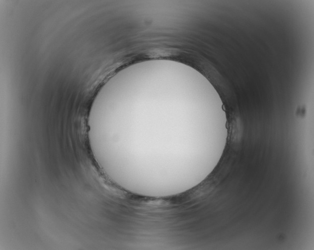 X0000110770426200906150959