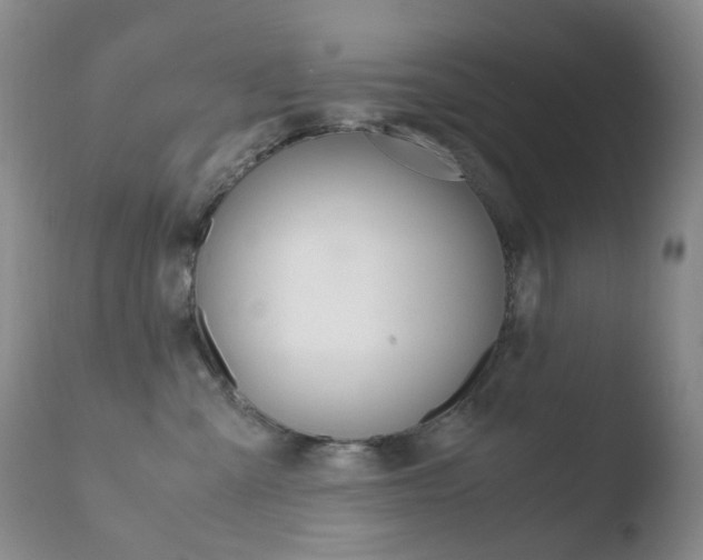 X0000110770427200906150959