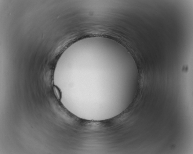 X0000110770428200906150958