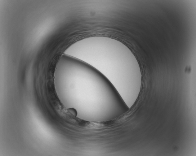 X0000110770429200906150958