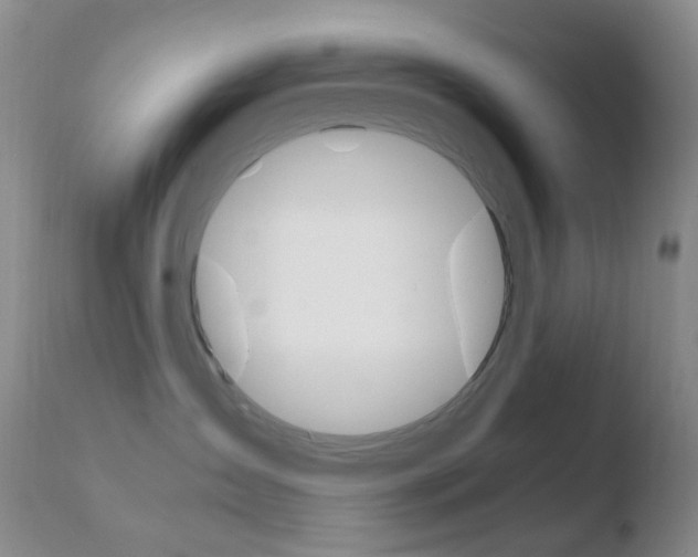 X0000110770431200906150958