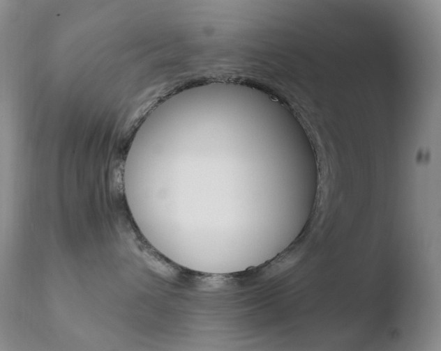 X0000110770432200906150958