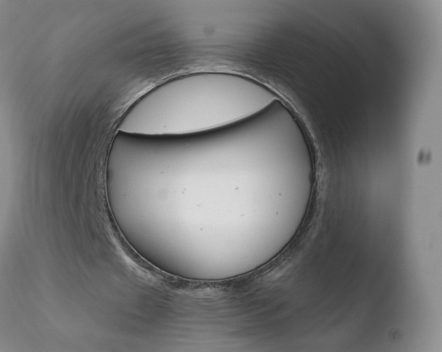 X0000110770433200906150958