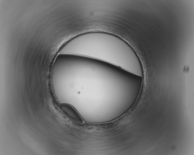 X0000110770434200906150958