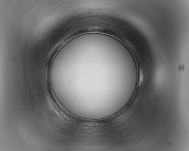 X0000110770435200906150958