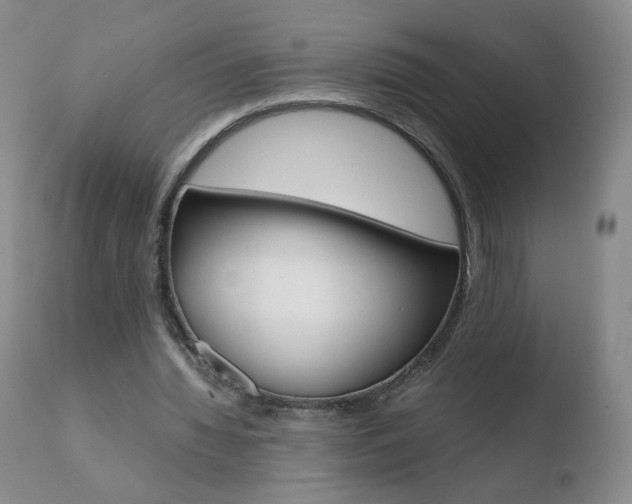 X0000110770436200906150958