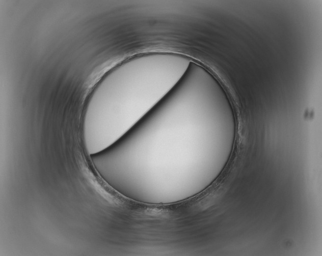 X0000110770437200906150958