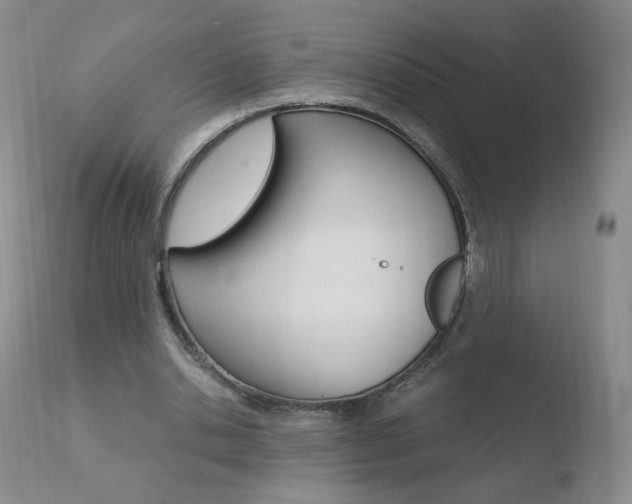 X0000110770438200906150958